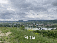 Grillenparz1452 wine winelover vineyard winetasting GIF