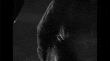 sub pop beach house band GIF by Sub Pop Records