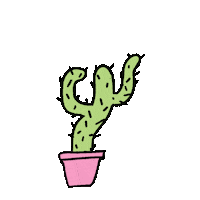 Dance Cactus Sticker