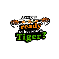 ans_tigers tigers ans become a tiger Sticker