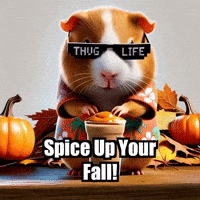 Guinea Pig Autumn GIF by Guinea Gambino