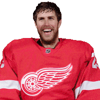 Ice Hockey Sport Sticker by Detroit Red Wings