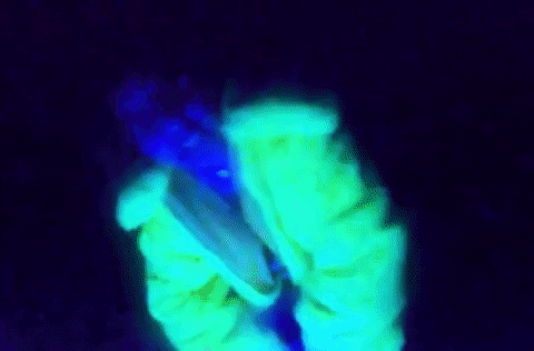 Highway GIF by St. Panther