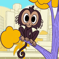 brunocromia bh belo horizonte penca parque municipal GIF