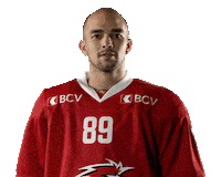 Lhc Lausannehc Sticker by Lausanne Hockey Club