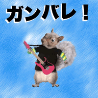 japan good luck GIF