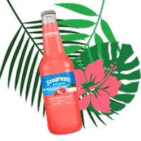 Shaved Ice Drinks Sticker by Seagram's Escapes