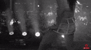 jauz GIF by Disco Donnie Presents