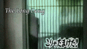 King Kong Poetry GIF by HUPChallenge