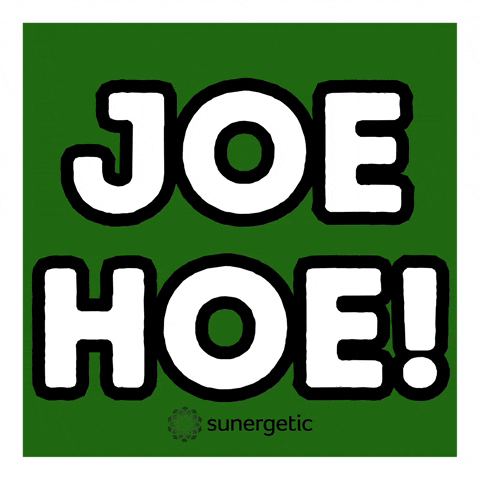 Suner GIF by Sunergetic