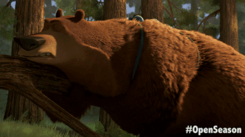 GIF by Sony Pictures Animation