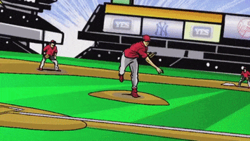 Major League Baseball Sport GIF by YES Network