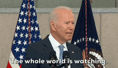 Joe Biden GIF by GIPHY News
