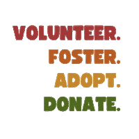 Dogrescue Sticker by Paws in the City