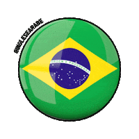 englishathome flag brasil bandeira egito Sticker