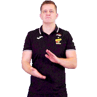 Clap Volleyball Sticker by PGE Skra Bełchatów