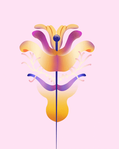 Bloom Illustrator GIF