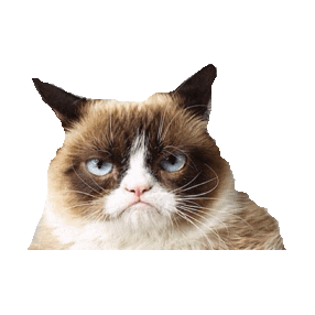 grumpy cat STICKER by imoji