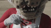 Nc State Howling Cow GIF by NC State University
