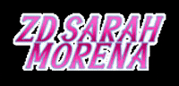Protec_Horse protechorse sarahmorena GIF