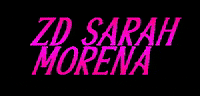 Protec_Horse protechorse sarahmorena GIF