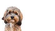 JuliaSpechtSHK handwerk handwerker heizung shk Sticker