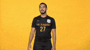 Sport Hello GIF by Cal State LA Golden Eagles