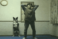 Dog Pet GIF