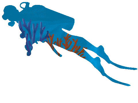 Long Island Caribbean Sticker by visitthebahamas