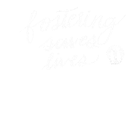 Cats Adopt Sticker by Berkeley Humane