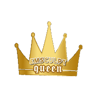 Bodybybtl hbd emsculpt btlbustour emlife Sticker