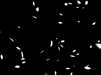 art shadow GIF