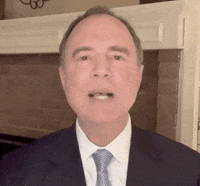 Adam Schiff GIF by GIPHY News