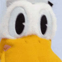 SanPitoPato donald duck pato pato donald san pito pato GIF