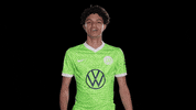 Bundesliga Reaction GIF by VfL Wolfsburg