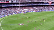 2018 season football GIF by AFL
