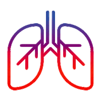 Phoenix Suns Basketball Sticker by The Ricky Rubio Foundation