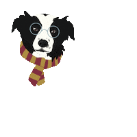 thesocialbolt ned border collie harry potter dog the social bolt Sticker