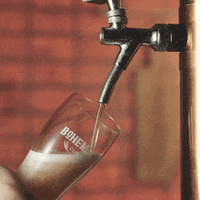 CervejaBohemia amigos cerveja verao brinde GIF
