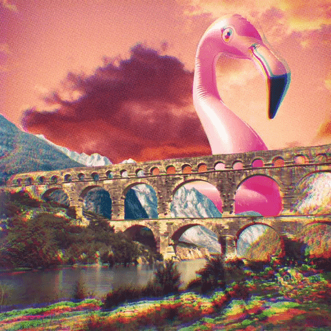 Hawaiiancat giphyupload GIF