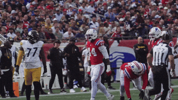 Football Celebration GIF by New England Patriots
