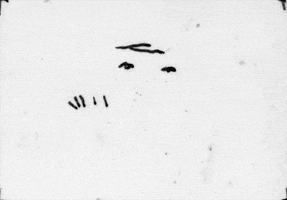 matthias brown GIF by TraceLoops