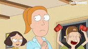 Season 2 Episode 207 GIF by Rick and Morty