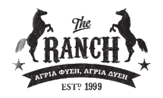 the_ranch horse cowboy camp polaroid Sticker