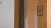 Surprise Martina GIF by discovery+