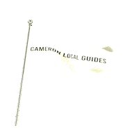 Local Guides Lets Guide Sticker by Omer Ali