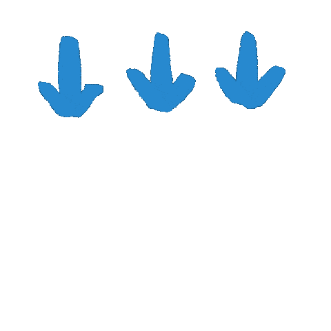 Animation Scroll Down Sticker