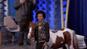 episode122tsgs GIF by truTV’s Talk Show the Game Show