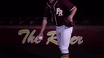 PRCCAthletics wildcats mississippi juco prcc GIF