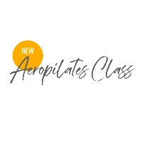 Aeropilates Sticker by lighterliving